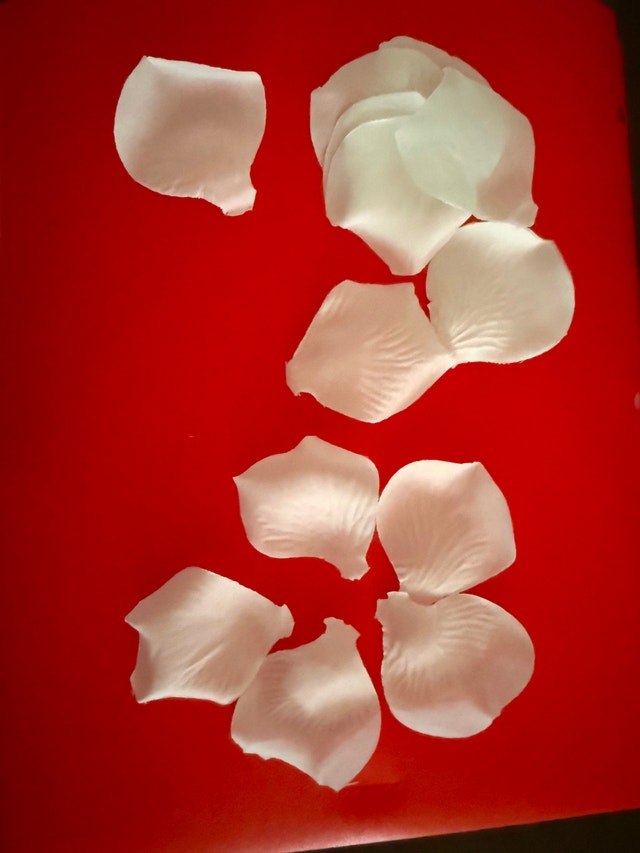 Artificial Rose Petals for wedding