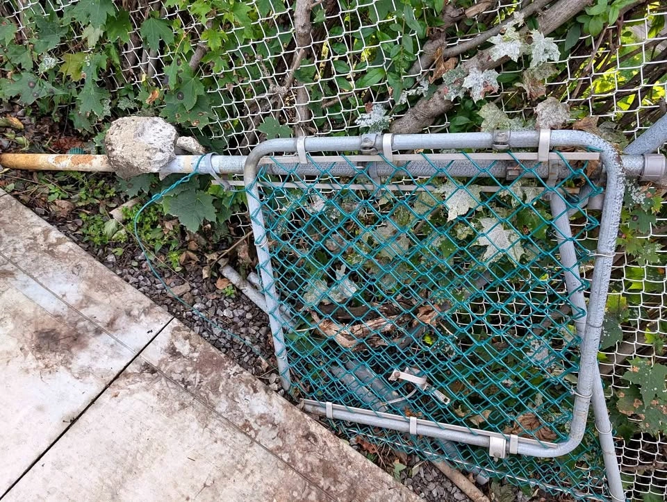 Fence gates and poles - Make an offer!
