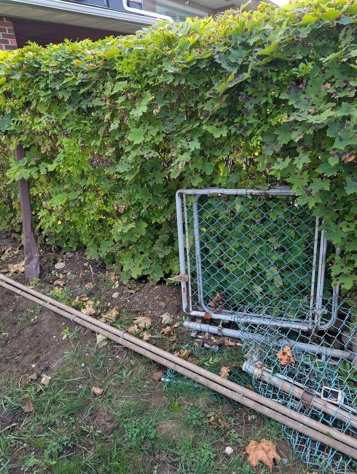 Fence gates and poles - Make an offer! - photo 2