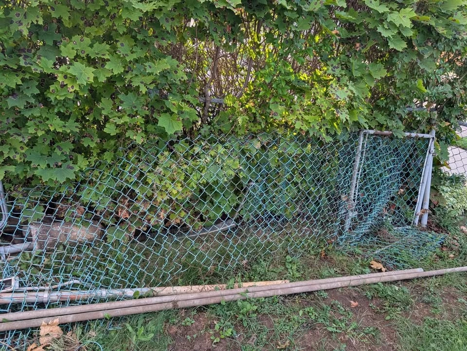 Fence gates and poles - Make an offer! - photo 3