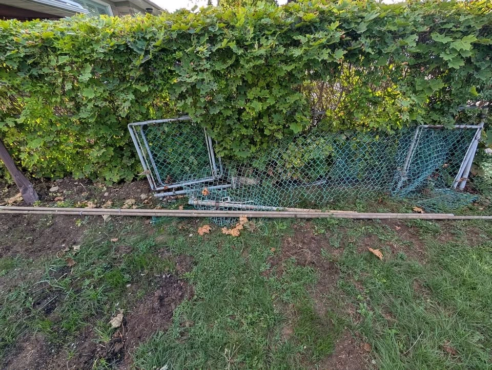 Fence gates and poles - Make an offer! - photo 4