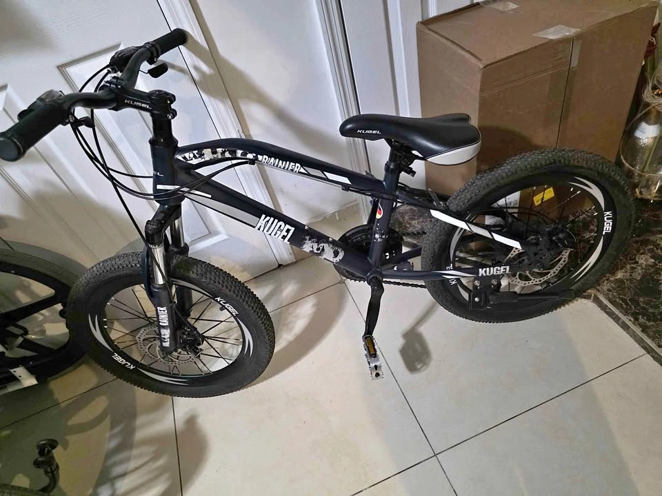 20" Mountains Bike, Kugel Rainier