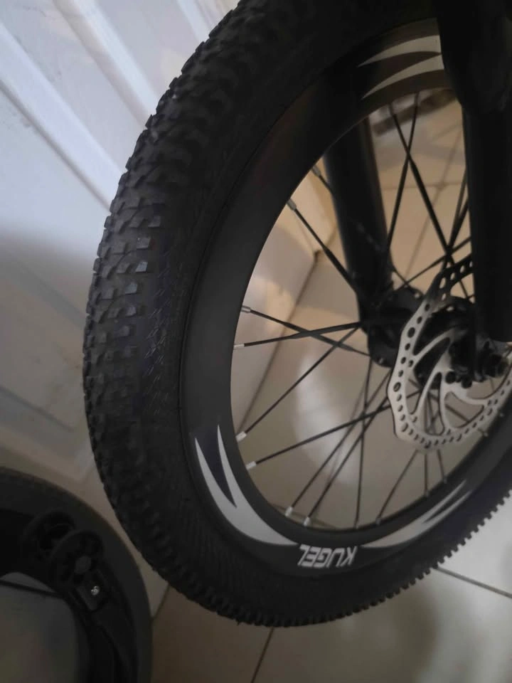 20" Mountains Bike, Kugel Rainier - photo 5