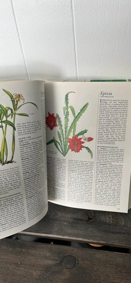 Readers Digest Success With House Plants Book - photo 4