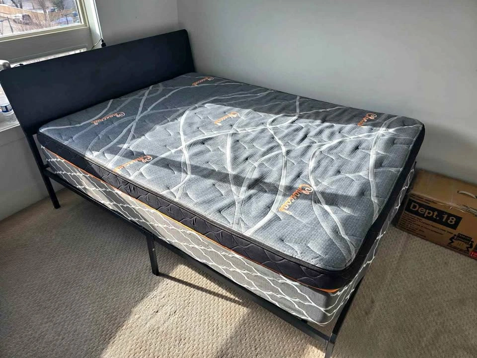 Queen Size Bed and Mattress