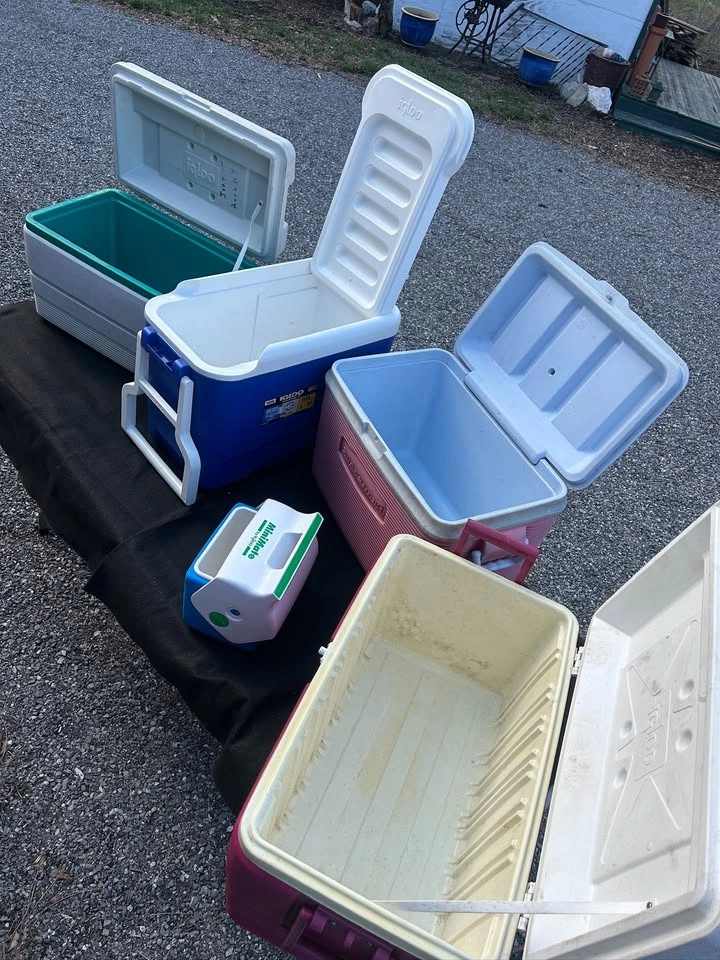 5-Piece Cooler Lot - Igloo & Rubbermaid - photo 2