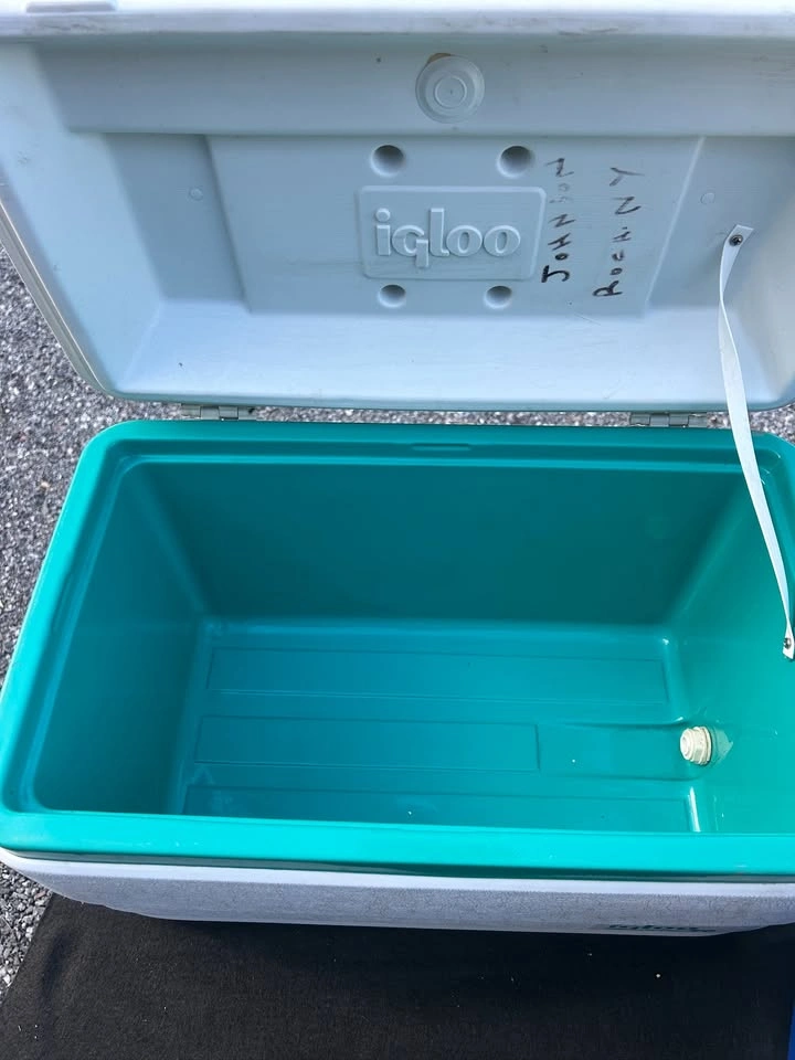 5-Piece Cooler Lot - Igloo & Rubbermaid - photo 4