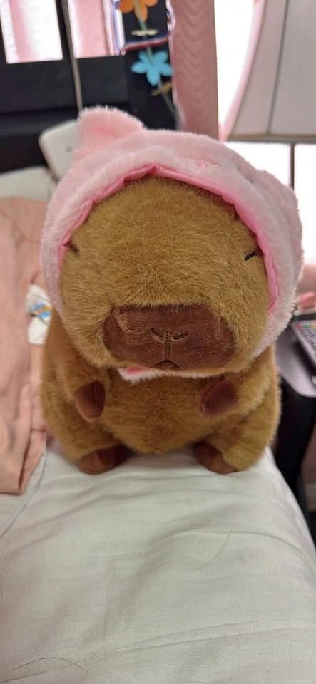 Capybara Plush