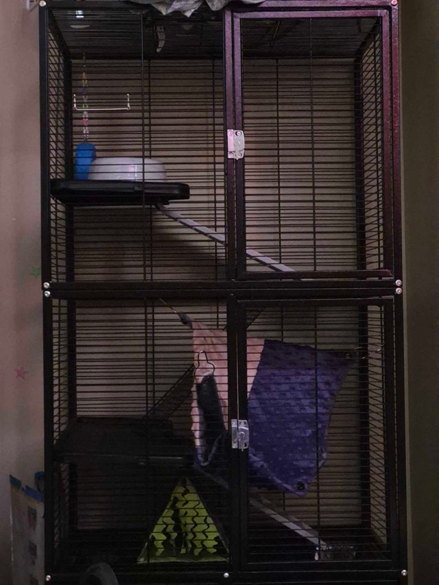 large rat cage