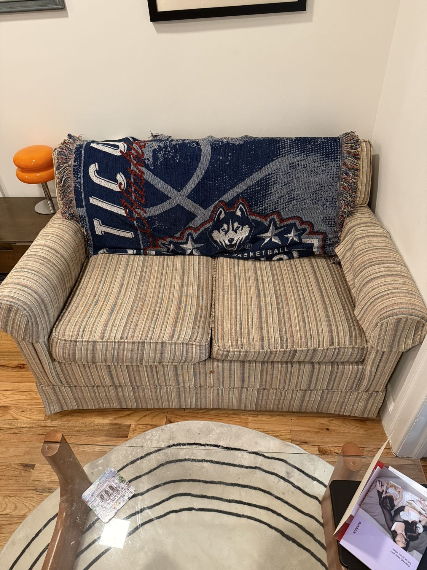 Couch / Pull Out Bed