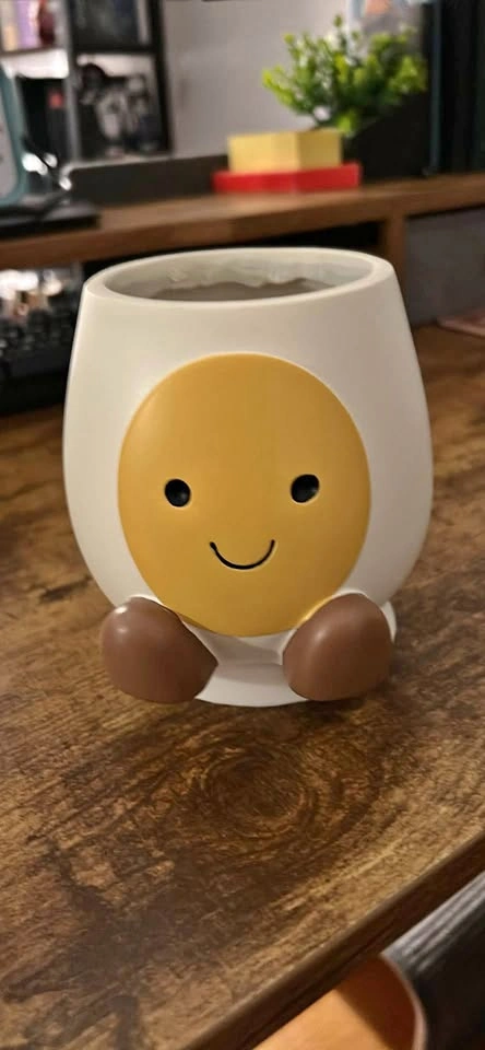 Cute little planter pot and tray