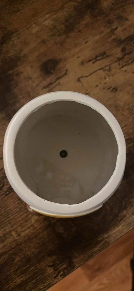 Cute little planter pot and tray - photo 2