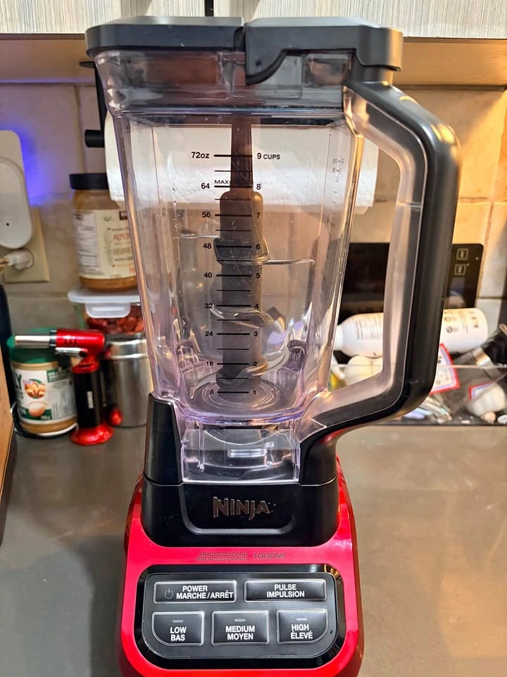 Ninja Professional 1000W Blender (9-Cup) – Works Great
