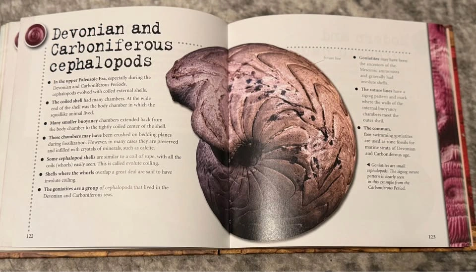 Free Book: 1000 Facts on Fossils - photo 3