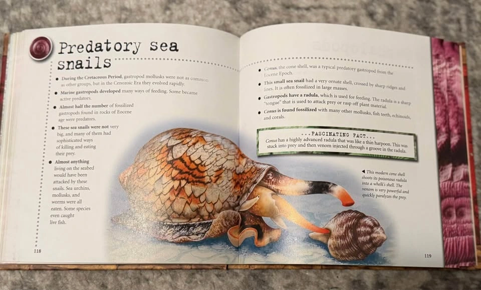 Free Book: 1000 Facts on Fossils - photo 4