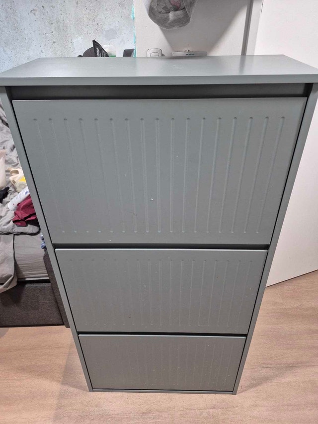 Footware Organizer