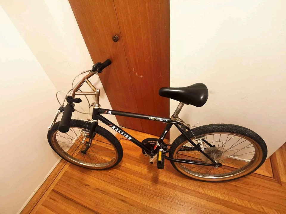 Raleigh Genesis Bike