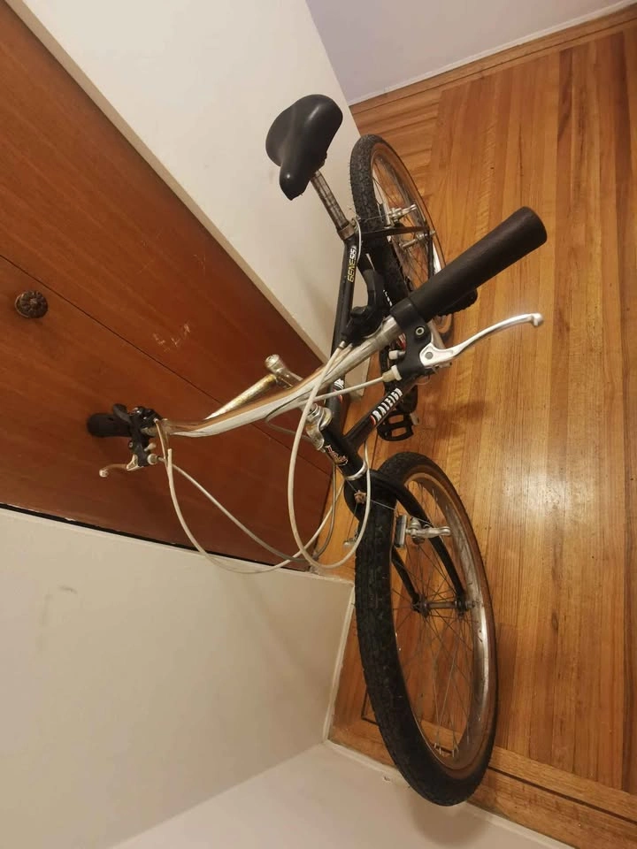 Raleigh Genesis Bike - photo 3