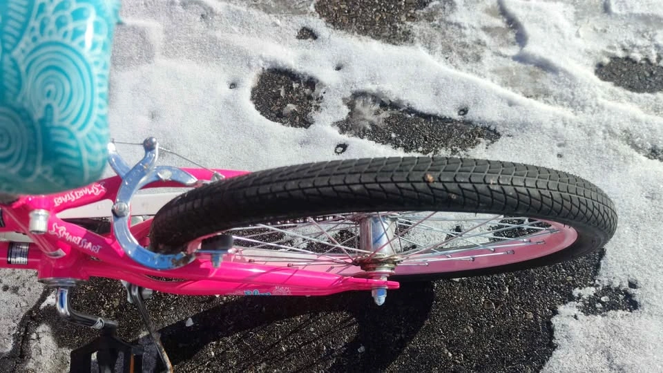 Schwinn bike 16' - photo 3