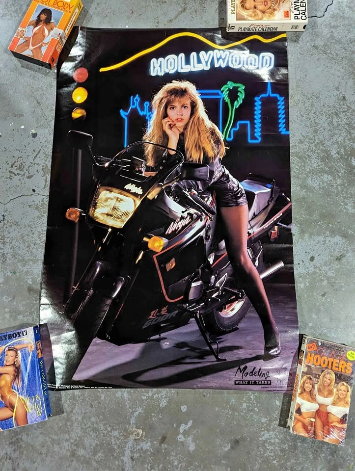 Vintage Rare 1989 Shalane McCall Hollywood Posters x3
