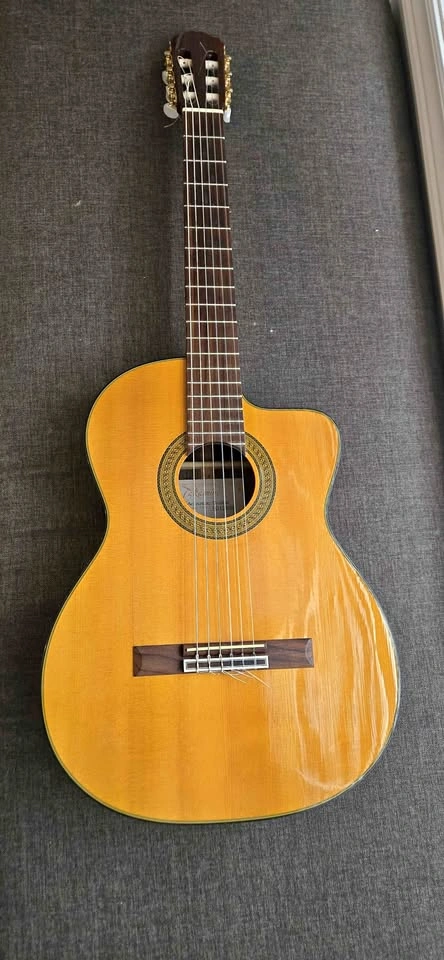 Takamine EG128SC Classical Cutaway