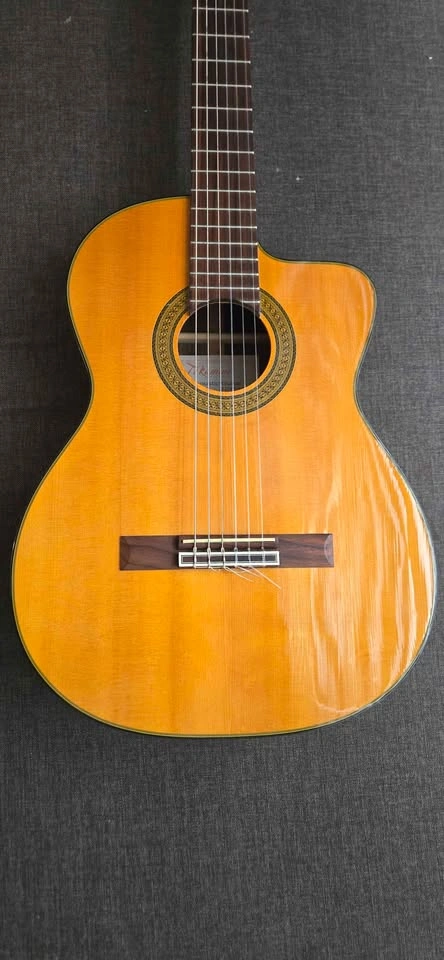 Takamine EG128SC Classical Cutaway - photo 2