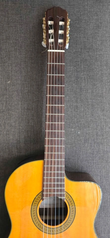 Takamine EG128SC Classical Cutaway - photo 3