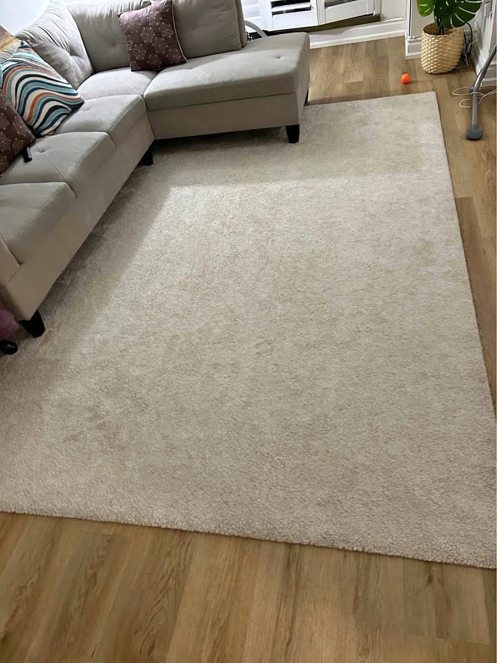 Ikea rug (light beige)