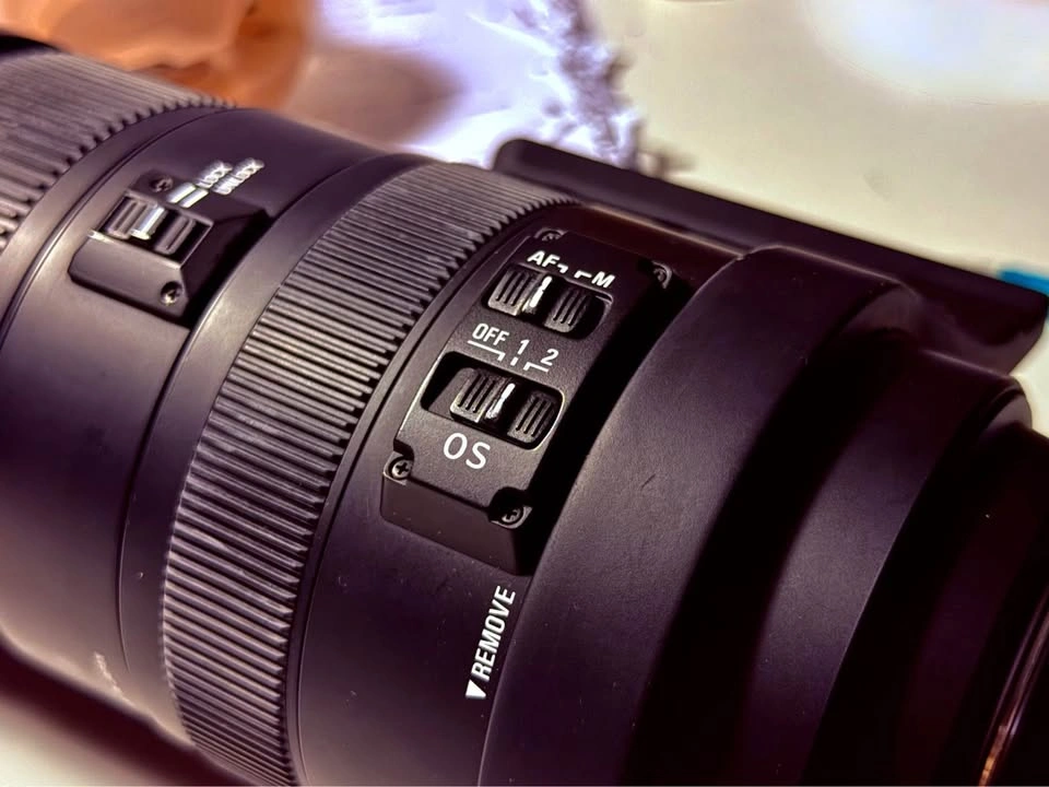 Sigma 150-500mm APO HSM w/ B+W Filter OBO - photo 4