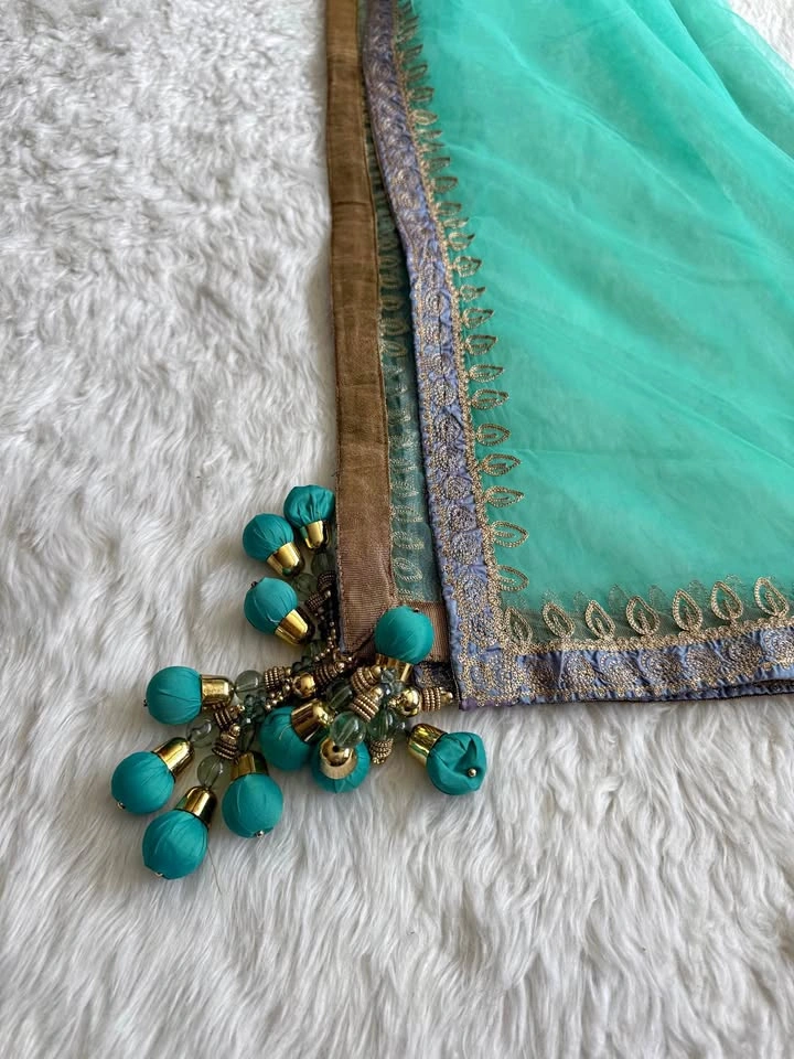Brand new silk lengha with detailed embroidery
