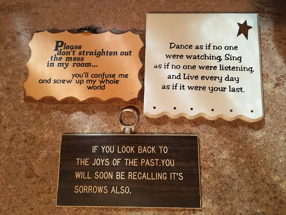 LOT OF 13 WALL DECOR SIGNS FUNNY SAYINGS PAULA'S WOODEN MOTTOS - photo 4