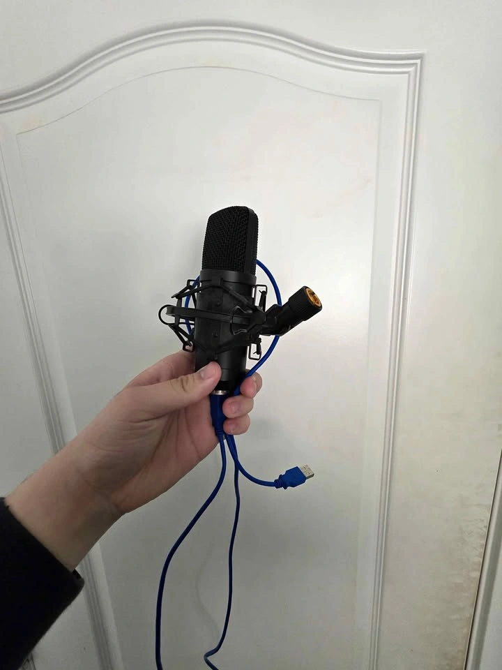 USB Microphone (Missing Boom Arm)