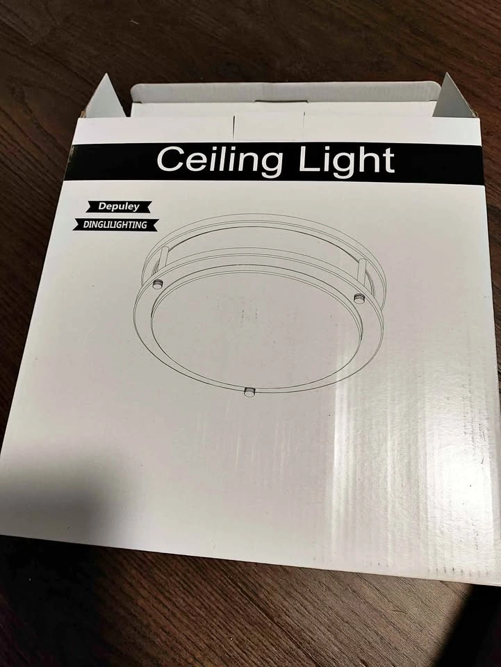 Depuley DINGLILIGHTING LED Flush Mount