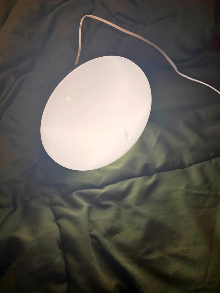 Sunlamp with Brightness and Timer Settings (White Light)