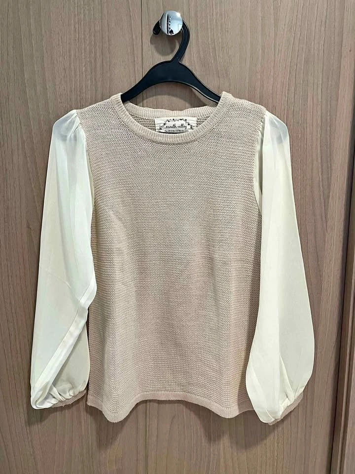 Knit Top Sheer Sleeves Beige