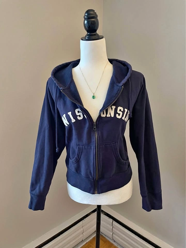 Collegiate Y2K Hoodie