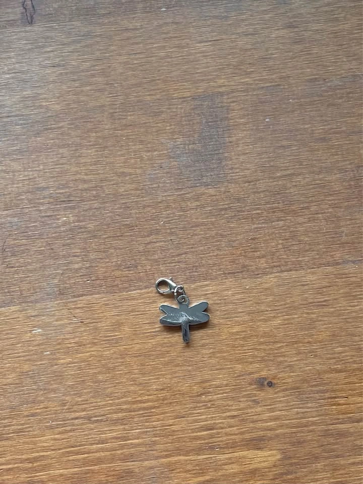 Dragonfly Charm for Charm Bracelet - photo 2