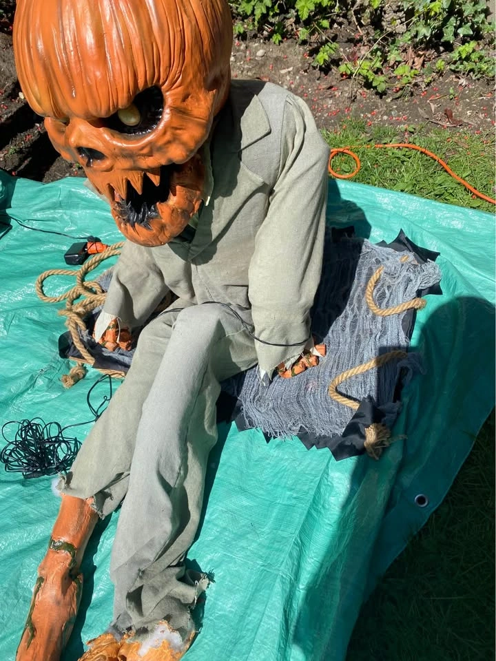 Halloween Decor Bundle (delivery available) - photo 4