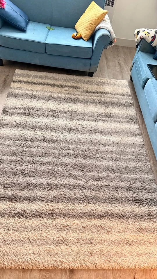 Persian Rug