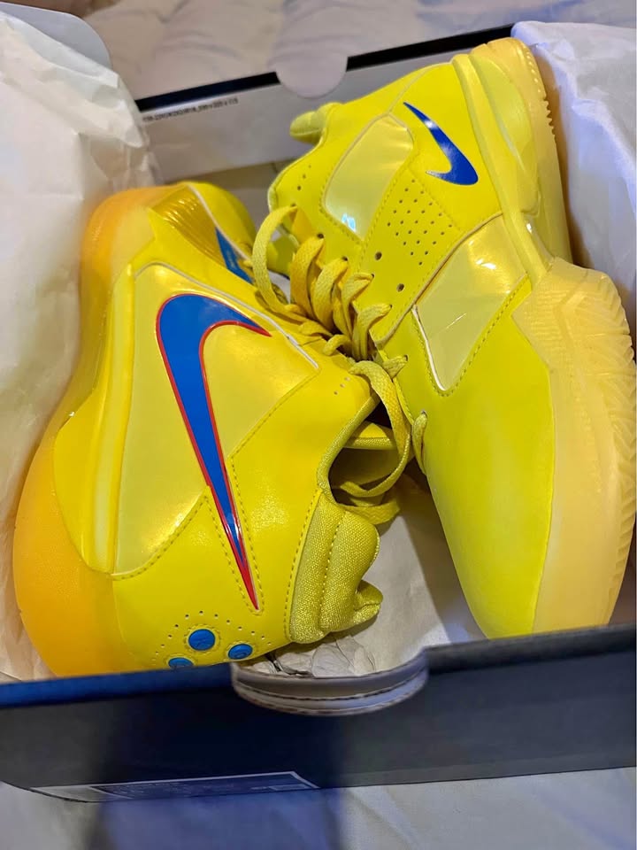 Nike zoom KD III