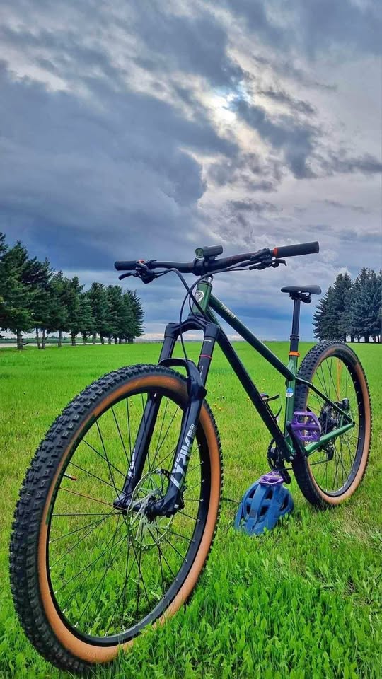 Norco Torrent S1