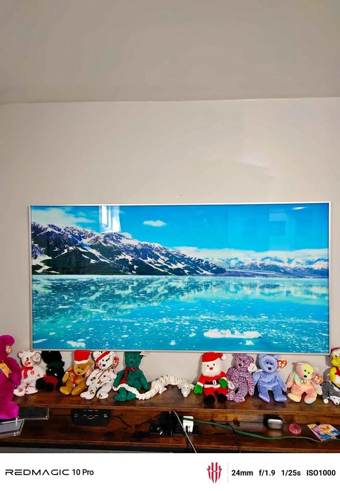 Original Artist Antarctica Framed Acrylic Photo Print