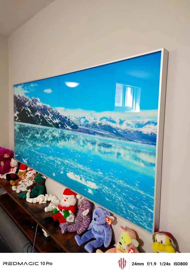 Original Artist Antarctica Framed Acrylic Photo Print - photo 2