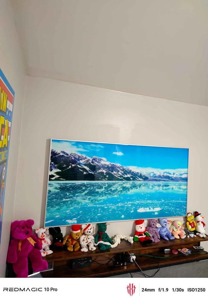 Original Artist Antarctica Framed Acrylic Photo Print - photo 4