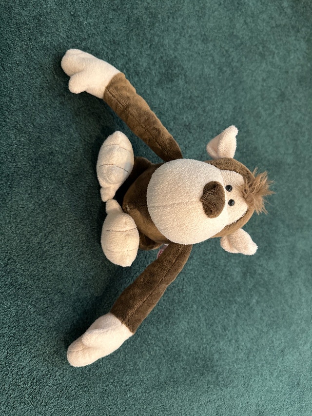 Nici Monkey