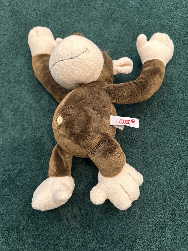 Nici Monkey - photo 3