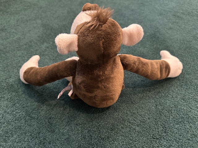 Nici Monkey - photo 4