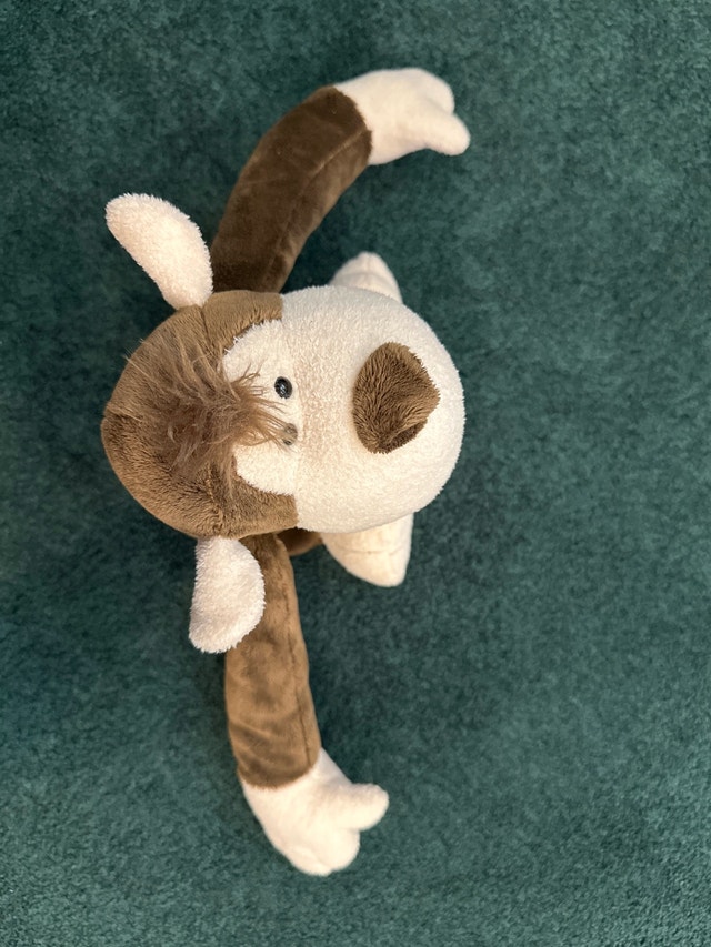 Nici Monkey - photo 5