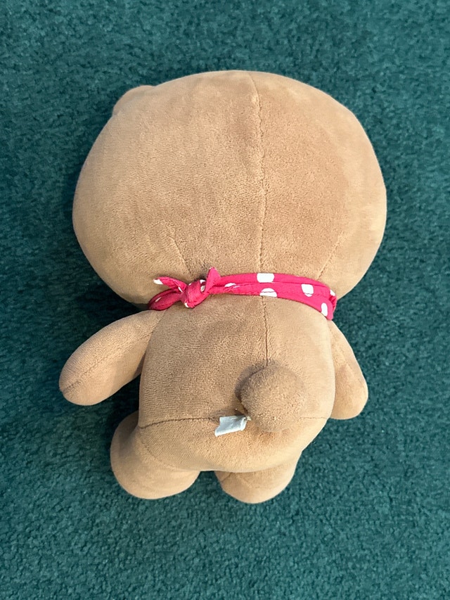 Line Friends Brown Bear Plush - photo 2