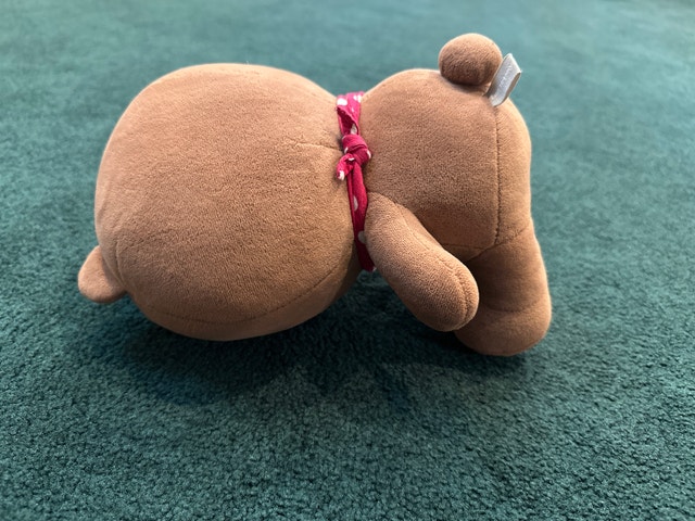 Line Friends Brown Bear Plush - photo 3